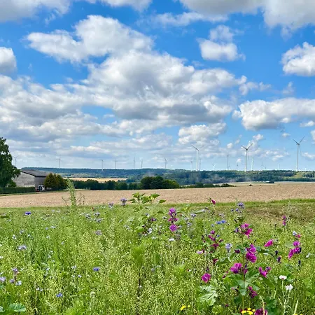 Apartment Am Kraeutergarten Im Hunsrueck 50qm *