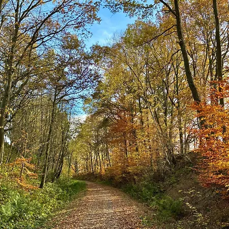 Am Kraeutergarten Im Hunsrueck 50qm 아파트 Norath